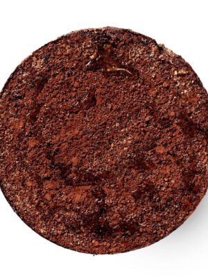 Chocodate Crumb Pie