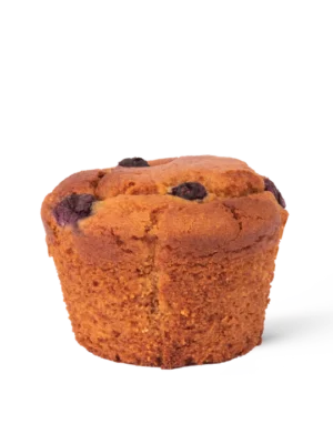 Blueberry Protein Muffin (GF)